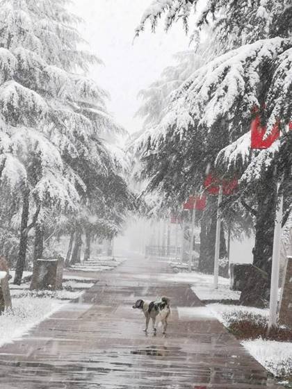 ΢��ͼƬ_2020021817262911